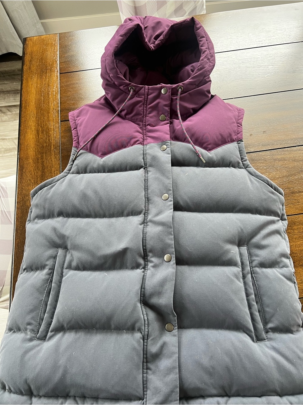 Patagonia Down Vest